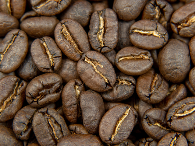Are Coffee Grounds Good for Hostas? Yes — Here’s How to Use Them