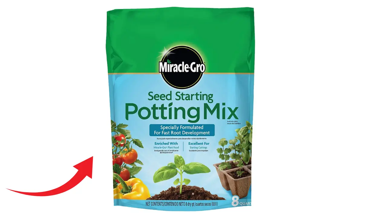 The Dos and Don'ts of Using Miracle-Gro on Seedlings