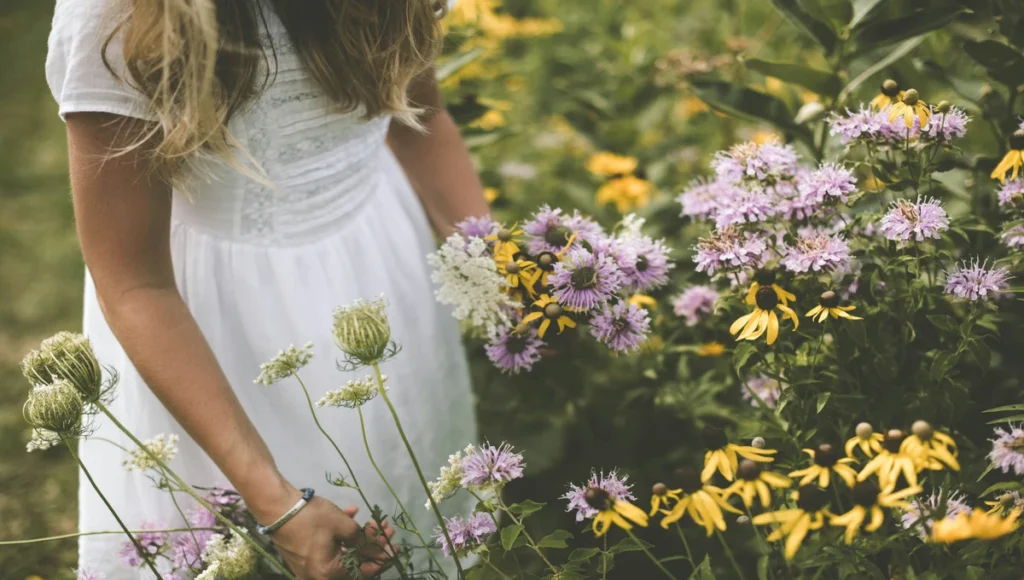 Yellow Tall Daisy-Like Flowers