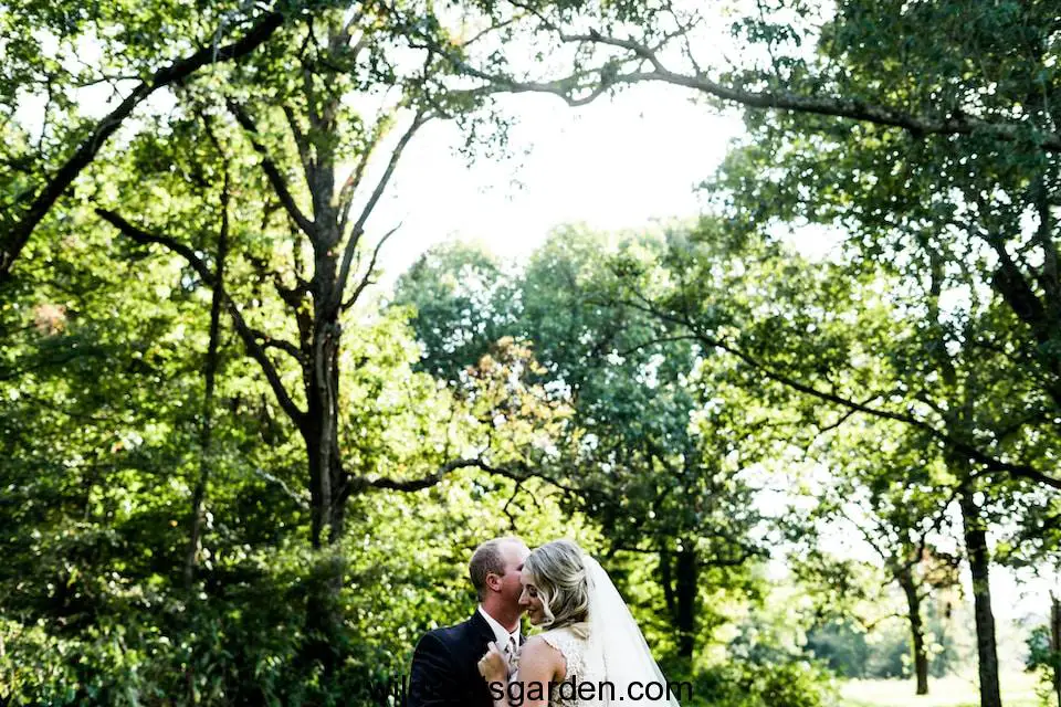 a bride and groom kissing in a park,Trees For Wedding Ceremony