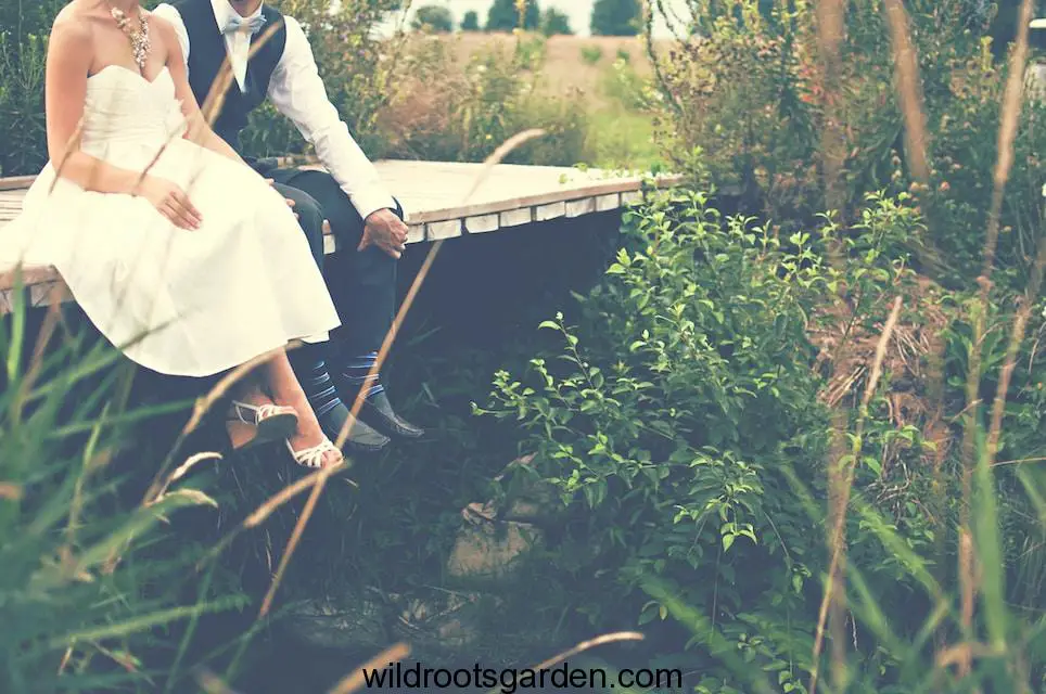 couple sitting on wooden bridge,Trees For Wedding Ceremony