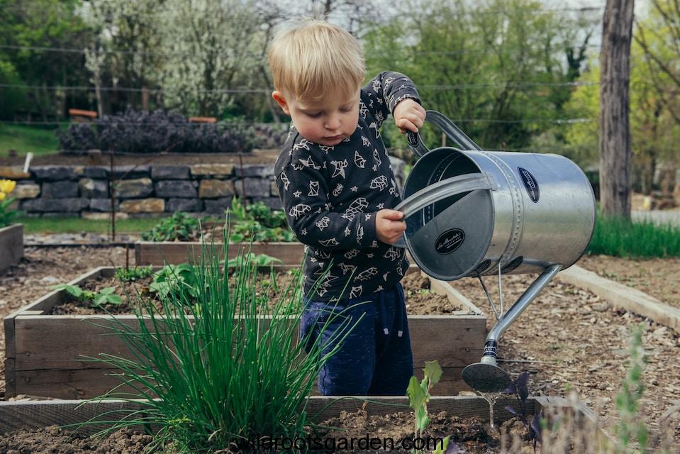 boy in black and white long sleeve shirt standing beside gray metal watering can during daytime,hosta shade garden