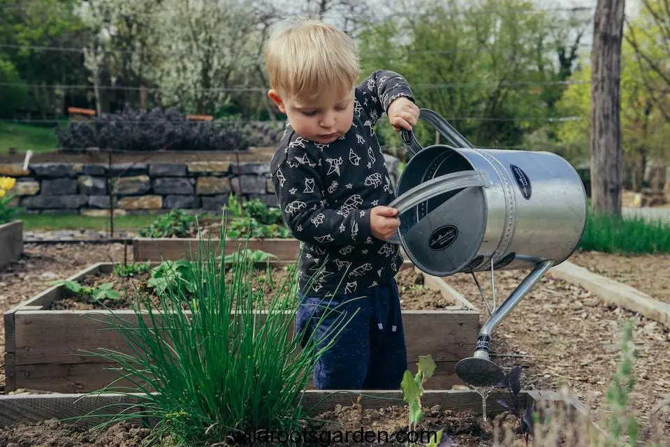 boy in black and white long sleeve shirt standing beside gray metal watering can during daytime, Wild Roots Garden