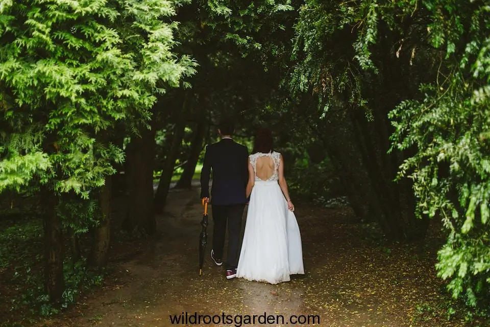 couple walking under green trees,Trees For Wedding Ceremony