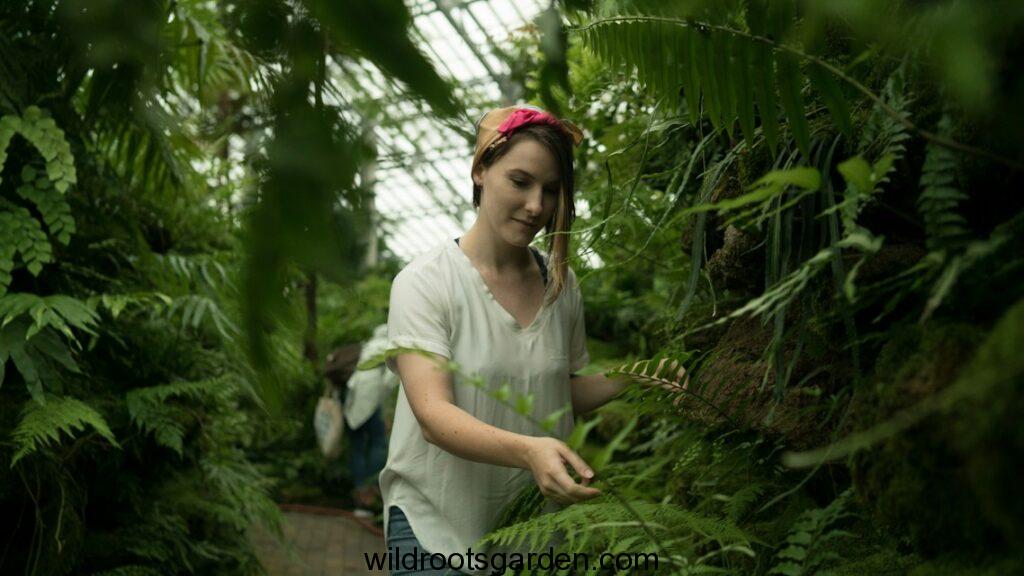 selective focus photography of woman standing beside Boston fern plant,Fast Growing Trees for Zone 4