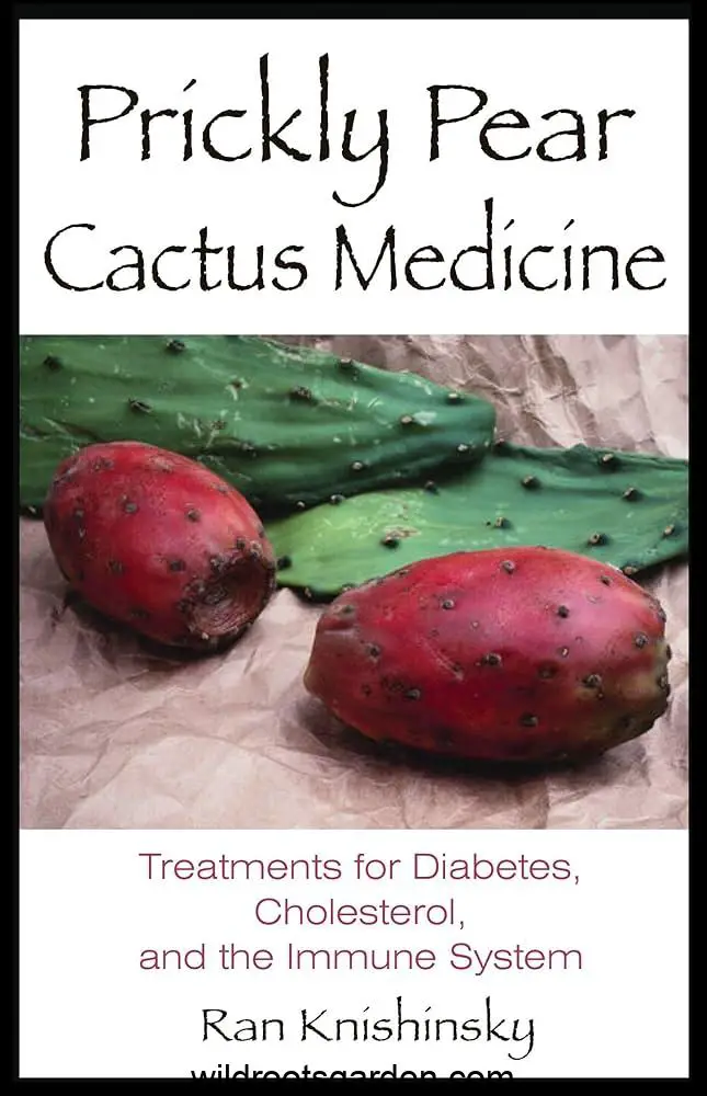 Is Cactus Good For Diabetes