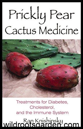 Is Cactus Good For Diabetes?