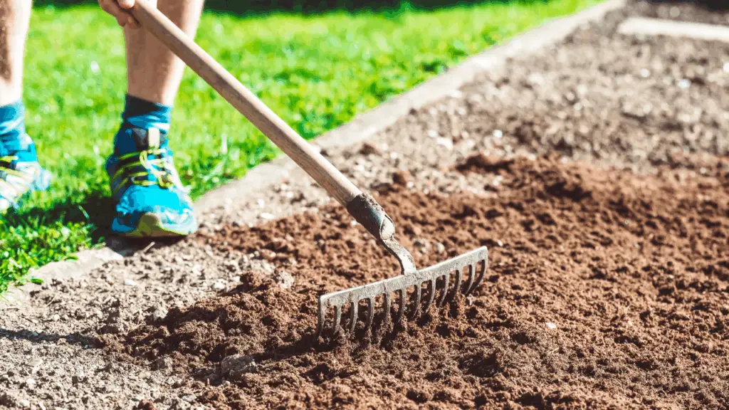 Rake