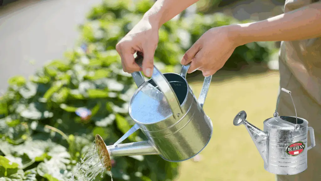 Watering Can
