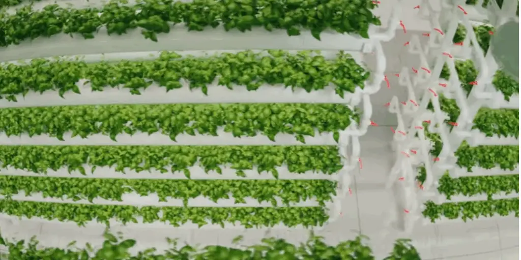 Easy Hydroponic Garden Plan: Grow Your Own Food with Minimal Effort
