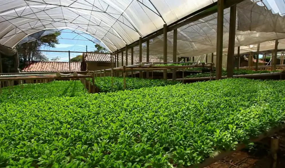 How To Make Liquid Fertilizer From Dry Fertilizer