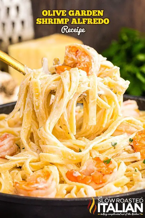 Copycat Olive Garden Shrimp Alfredo