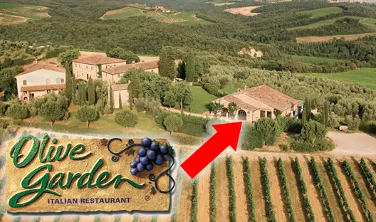 Olive Garden in Tuscany
