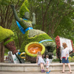 Alice in Wonderland Botanical Gardens