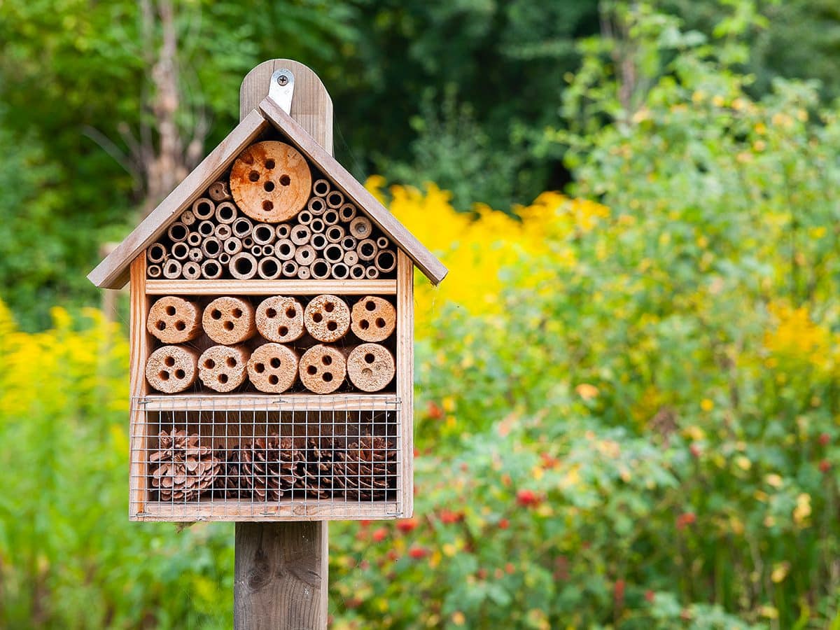 Bee Houses for Gardens