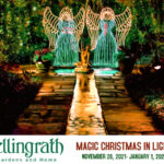 Bellingrath Gardens Christmas Lights