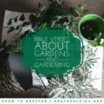 Bible Verses About Gardening
