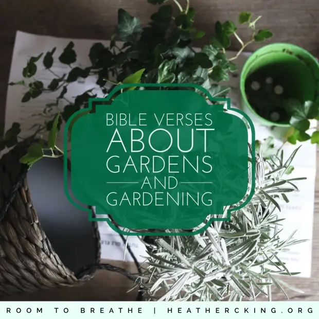 Bible Verses About Gardening