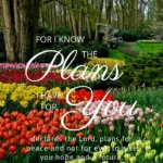Bible Verses on Gardening