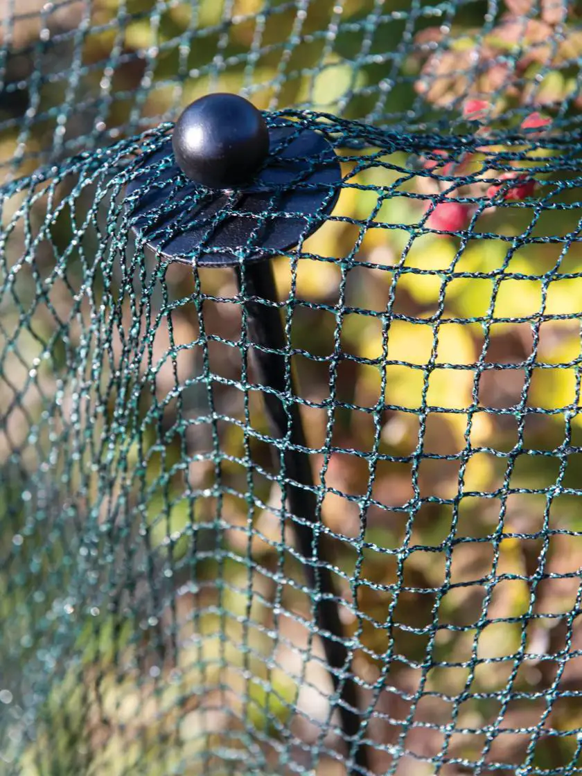 Bird Netting for Gardens