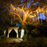 Bodega Bay Secret Gardens