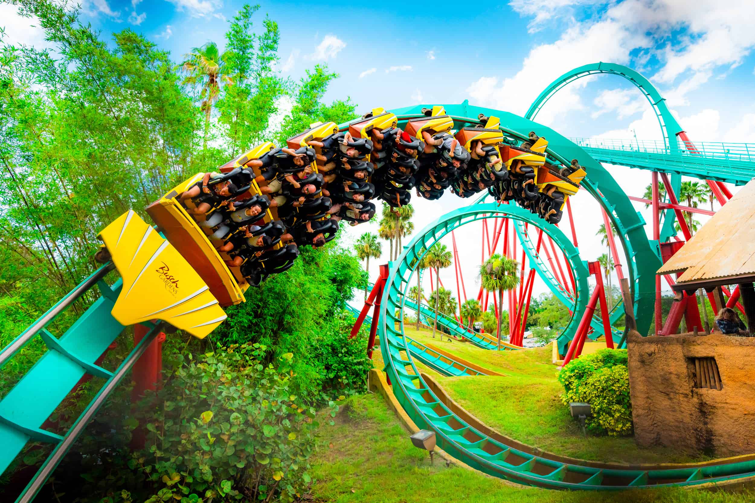 Busch Gardens Best Rides