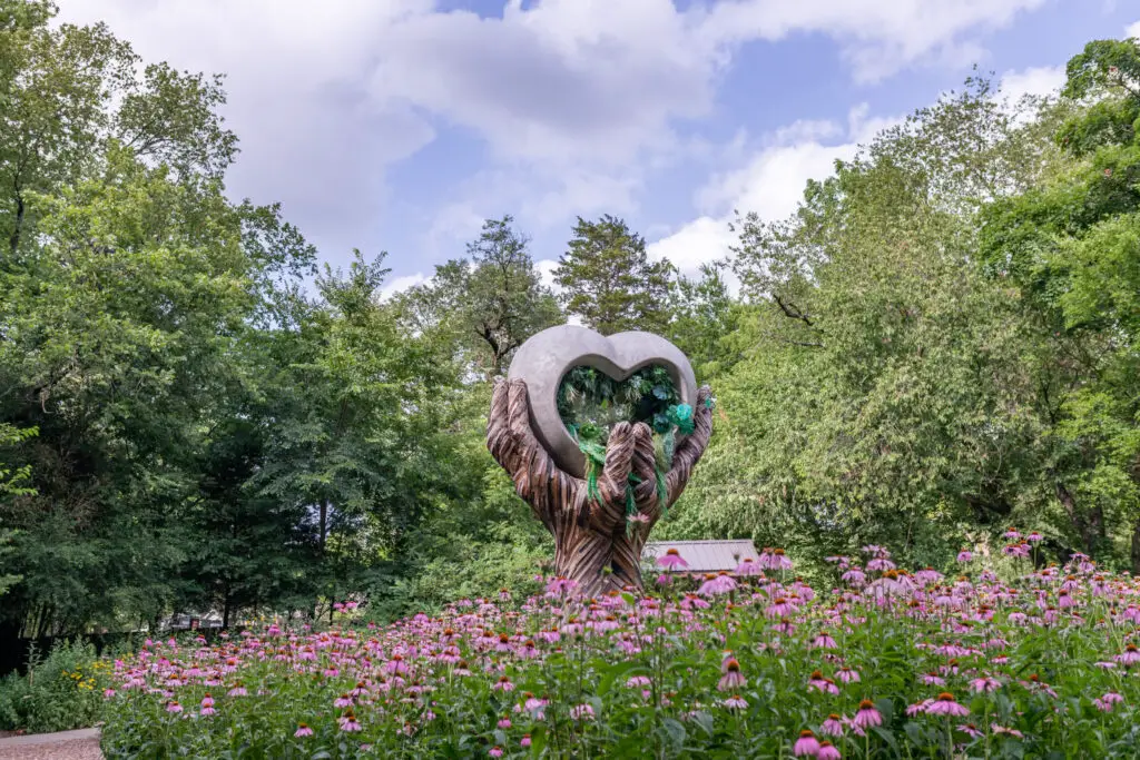 Compton Gardens And Arboretum