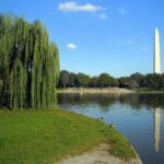 Constitution Gardens Washington Dc