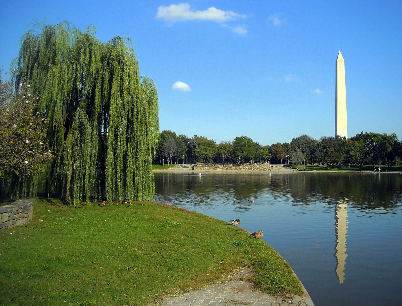 Constitution Gardens Washington Dc