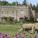 Cotswold Wildlife Park & Gardens
