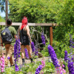 Descanso Gardens Free Day