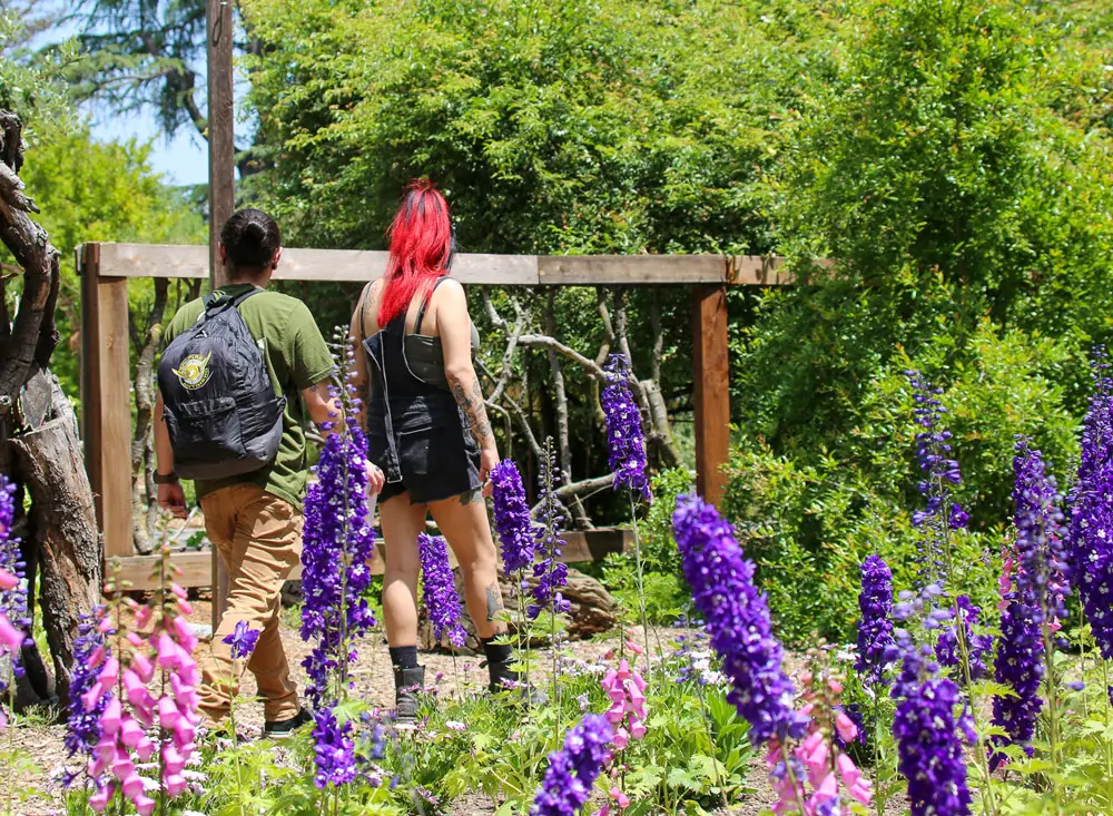 Descanso Gardens Free Day