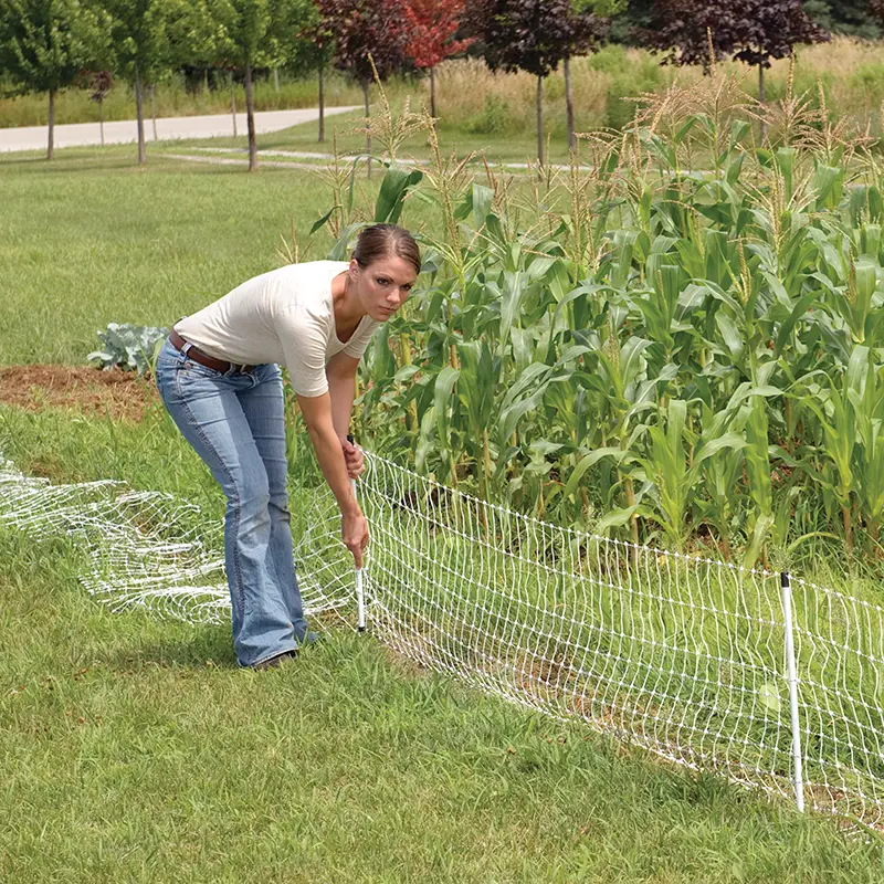 Electric Fence for Gardens