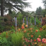 Evergreen Arboretum And Gardens