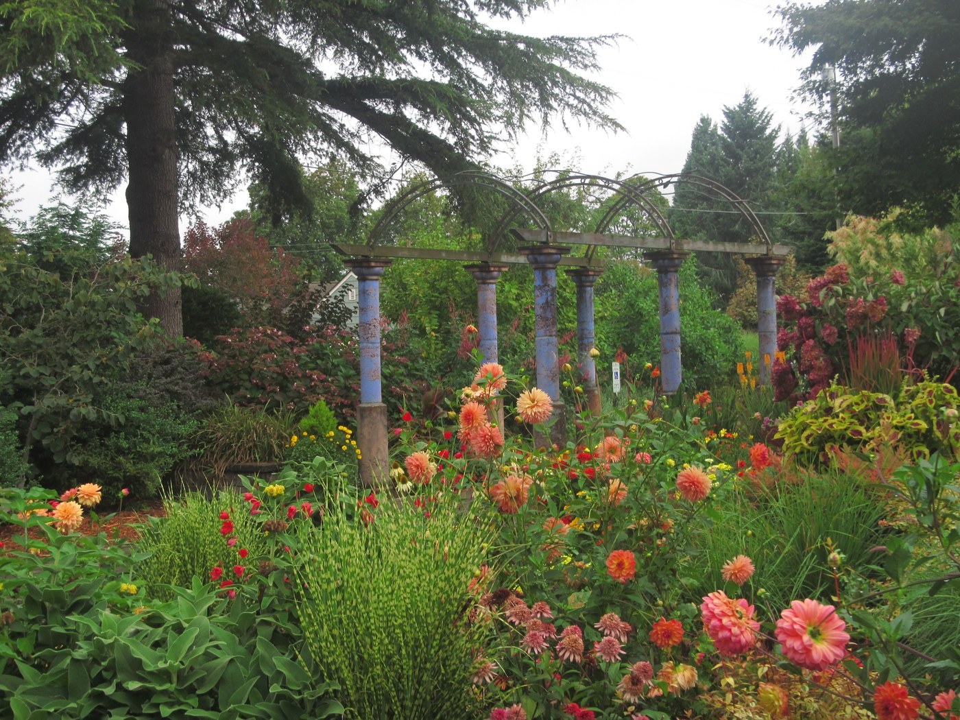 Evergreen Arboretum And Gardens