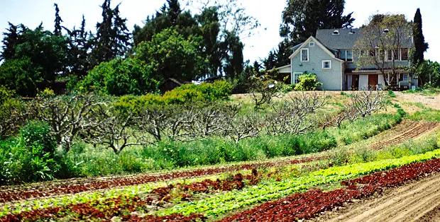 Fairview Gardens Education Farm