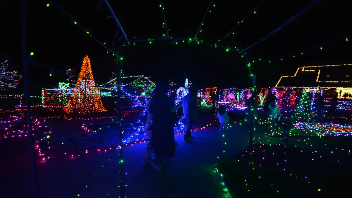 Festival of Lights Powell Gardens