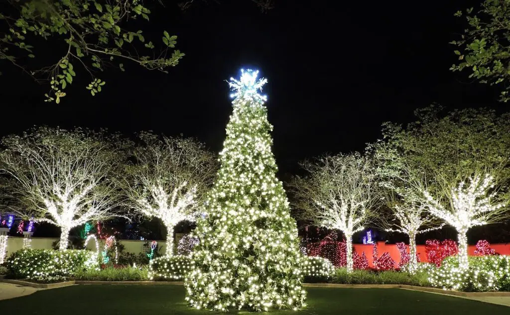 Florida Botanical Gardens Christmas Lights