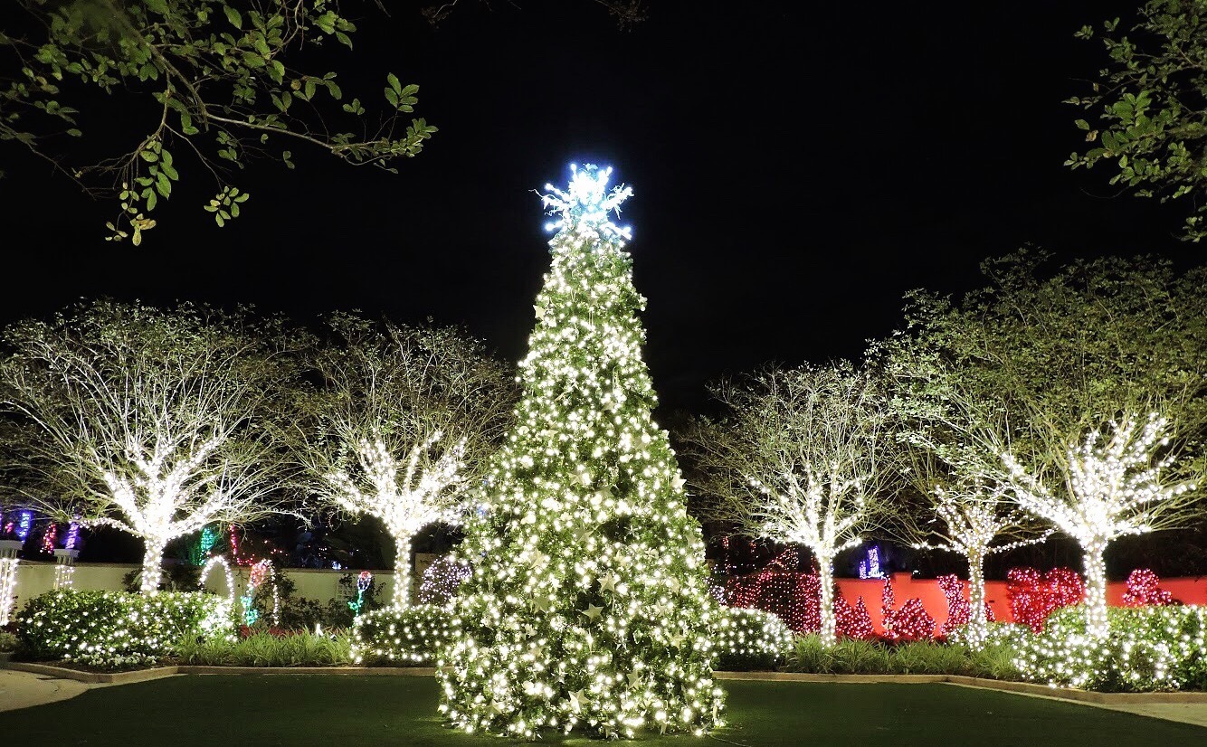 Florida Botanical Gardens Christmas Lights