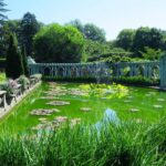 Flower Gardens of Long Island