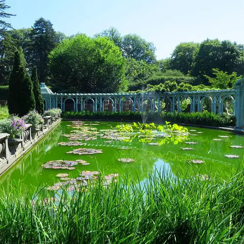 Flower Gardens of Long Island