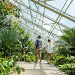 Fort Wayne Botanical Gardens
