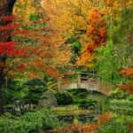 Fort Worth Japanese Gardens