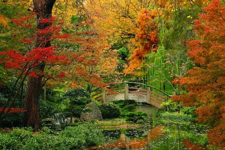 Fort Worth Japanese Gardens