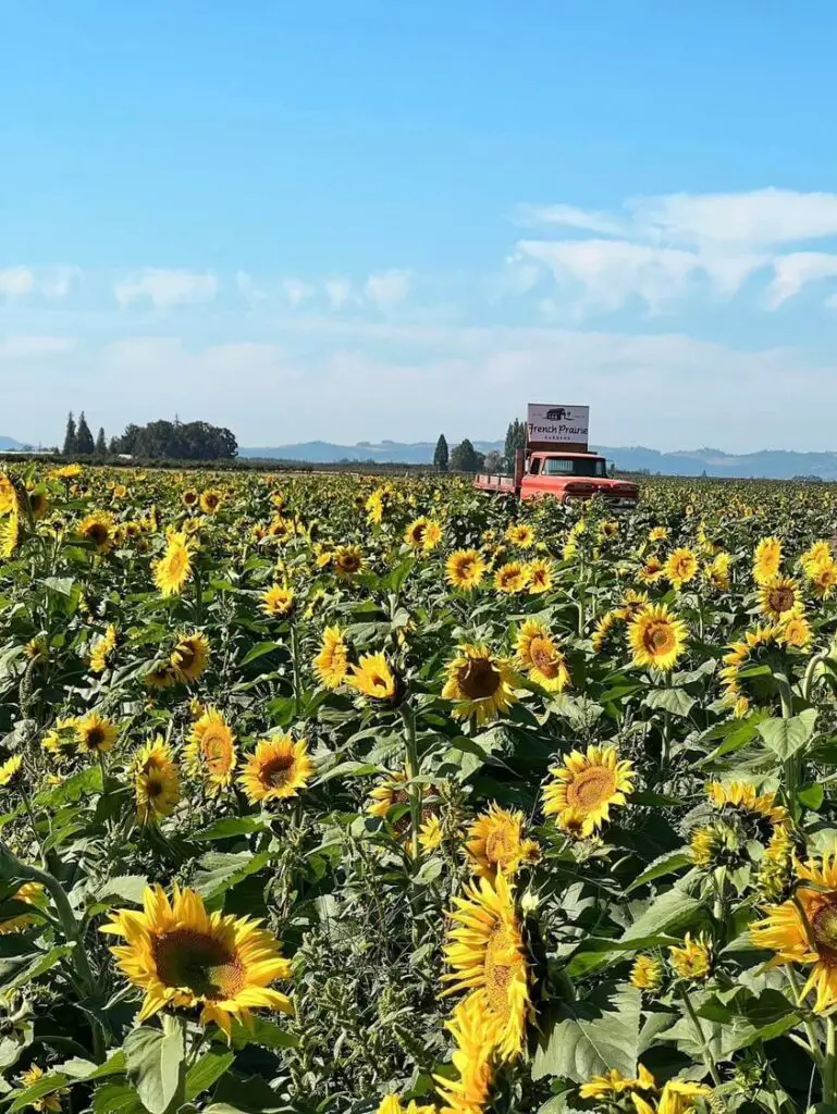 French Prairie Gardens Oregon