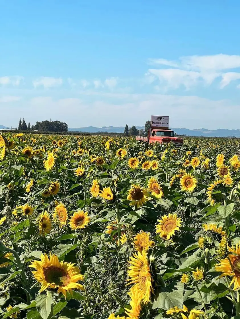 French Prairie Gardens Oregon