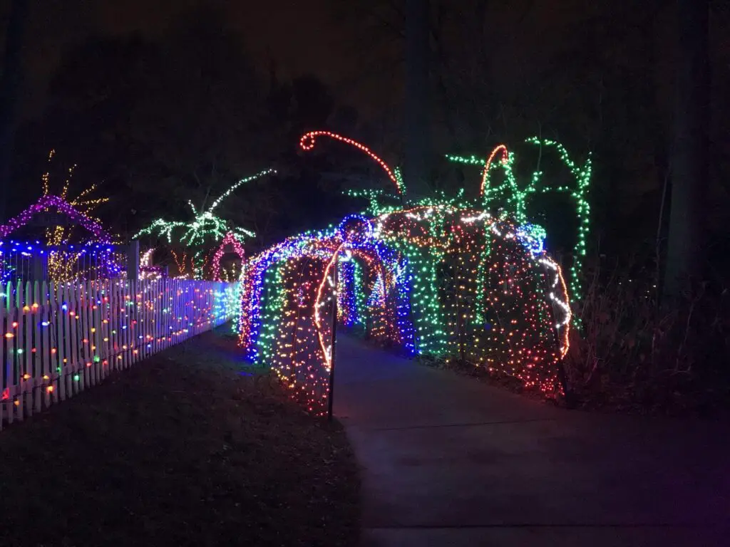 Garden of Lights at Brookside Gardens