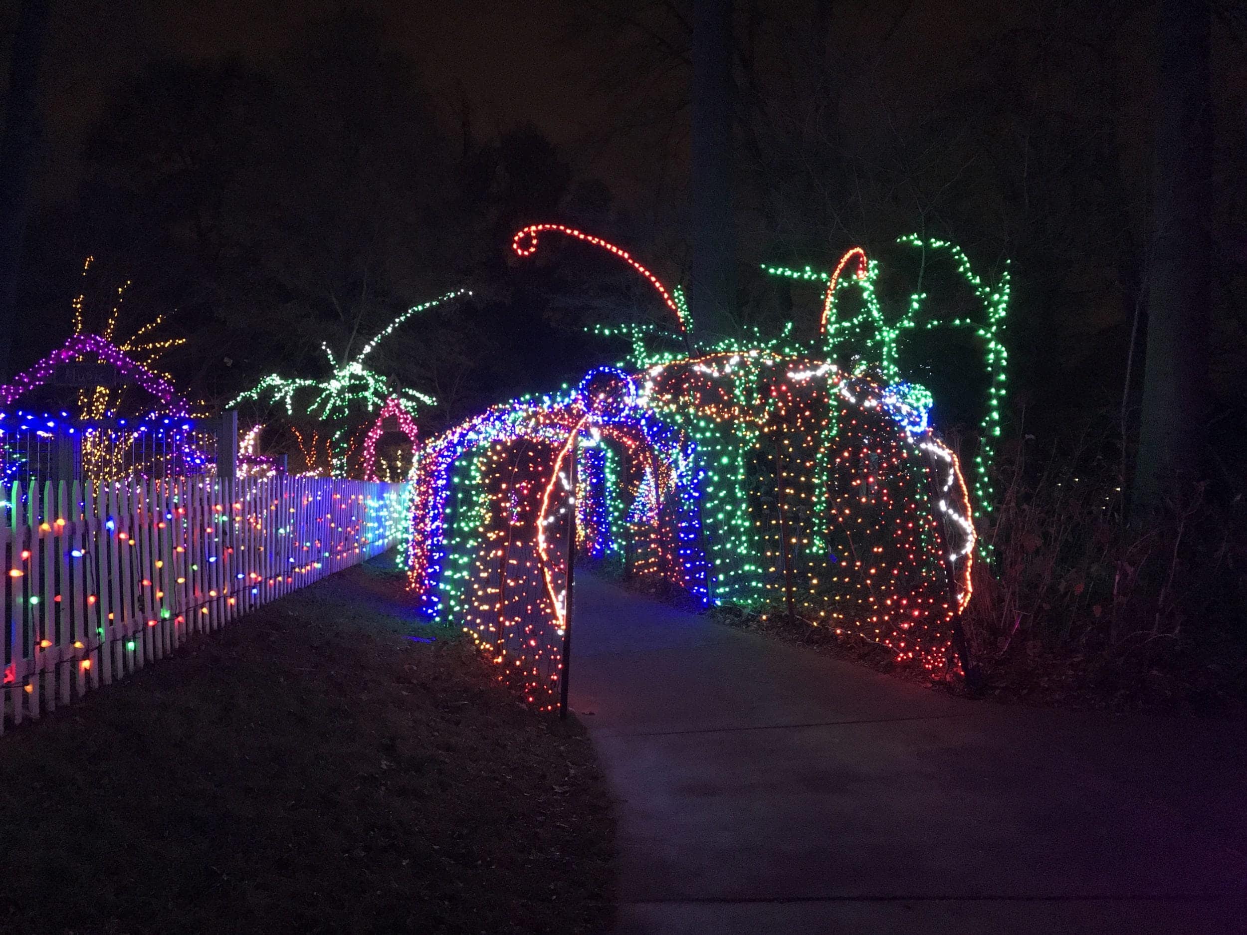 Garden of Lights at Brookside Gardens