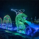 Garden of Lights Brookside Gardens
