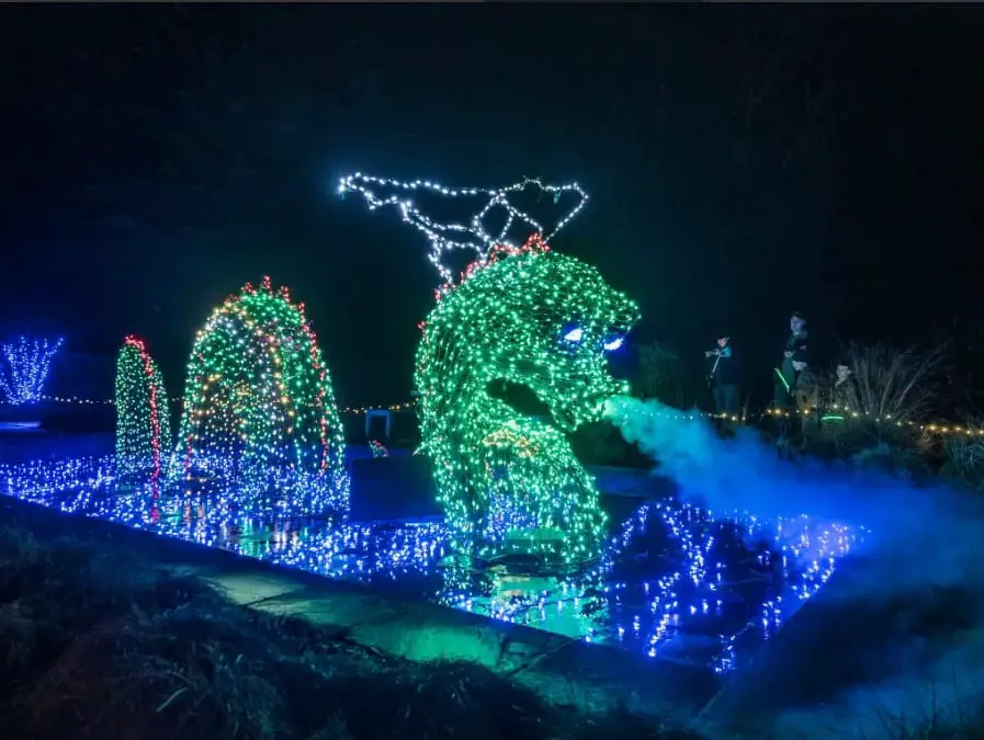 Garden of Lights Brookside Gardens